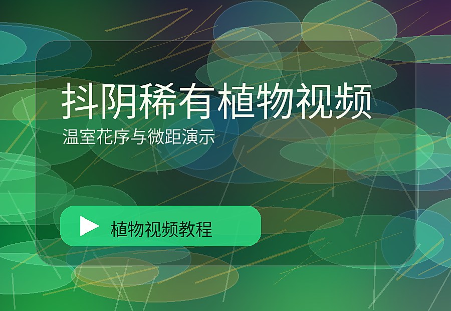 少叶花园